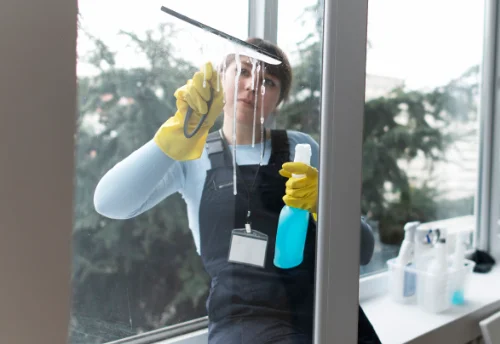 Nettoyage de vitres intérieures et extérieures à Bonnencontre